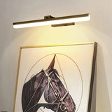 Indoor Wireless Picture Light Wall Light