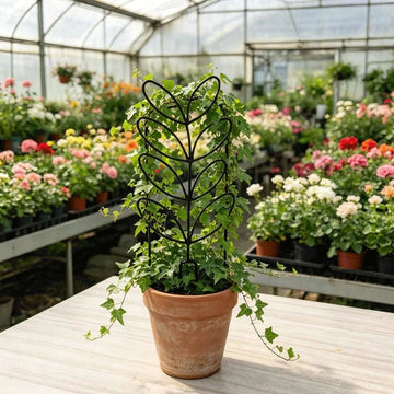 Nature-Inspired Leaf Silhouette Plant Trellis for Houseplants