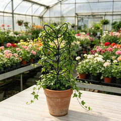 Nature-Inspired Leaf Silhouette Plant Trellis for Houseplants