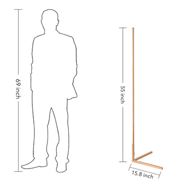RGBCW Golden Corner Floor Lamp