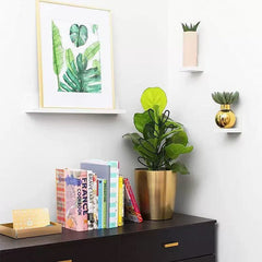 Nature-Inspired Leaf Silhouette Plant Trellis for Houseplants