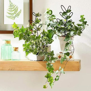 Nature-Inspired Leaf Silhouette Plant Trellis for Houseplants