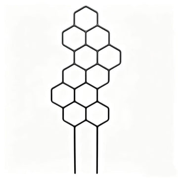 Geometric Honeycomb Plant Trellis for Indoor Potted Plants