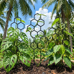 Geometric Honeycomb Plant Trellis for Indoor Potted Plants